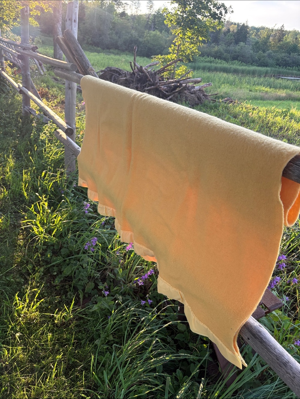 Vintage Kenwood Yellow Wool Blanket